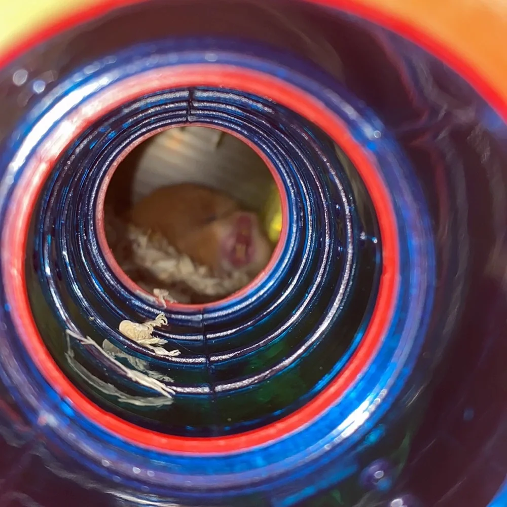 Hamster Cage